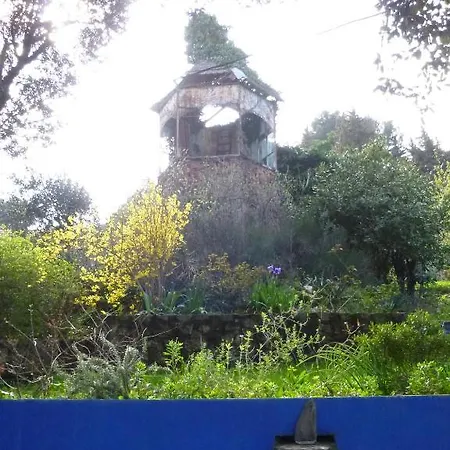 Casa Di Nina Villa Les Angles (Gard)