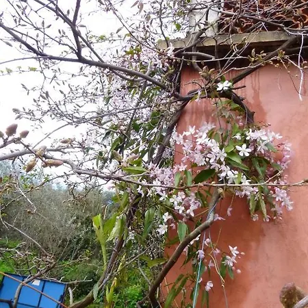 Casa Di Nina Villa *